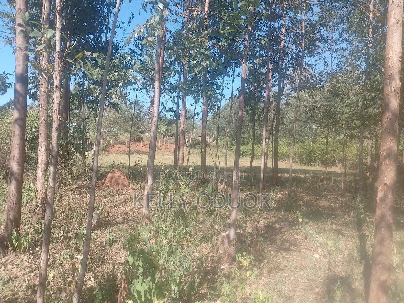 1/2 Acre Land for Sale Nyakach