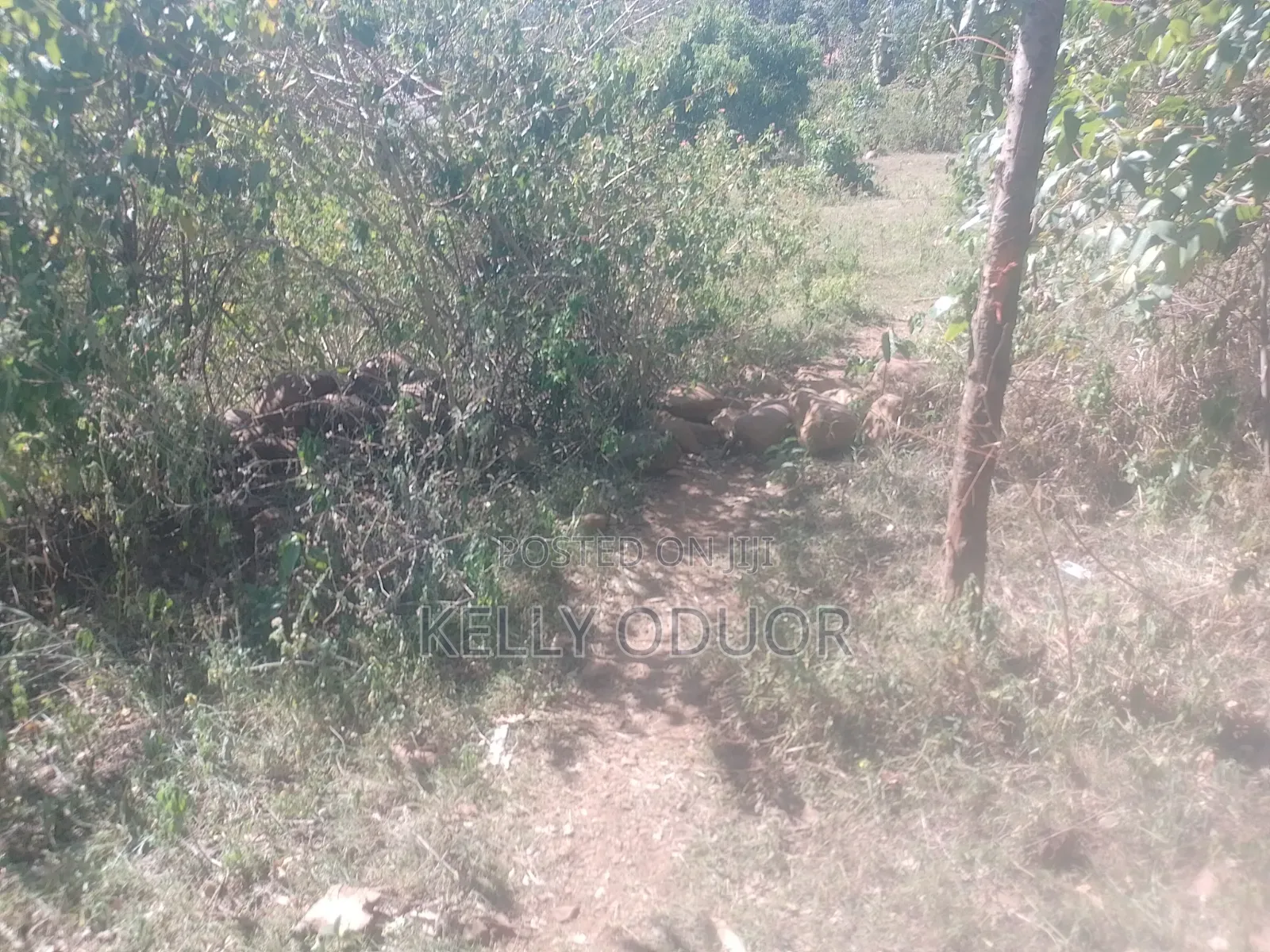 1/2 Acre Land for Sale Nyakach