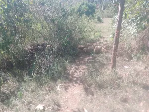 1/2 Acre Land for Sale Nyakach