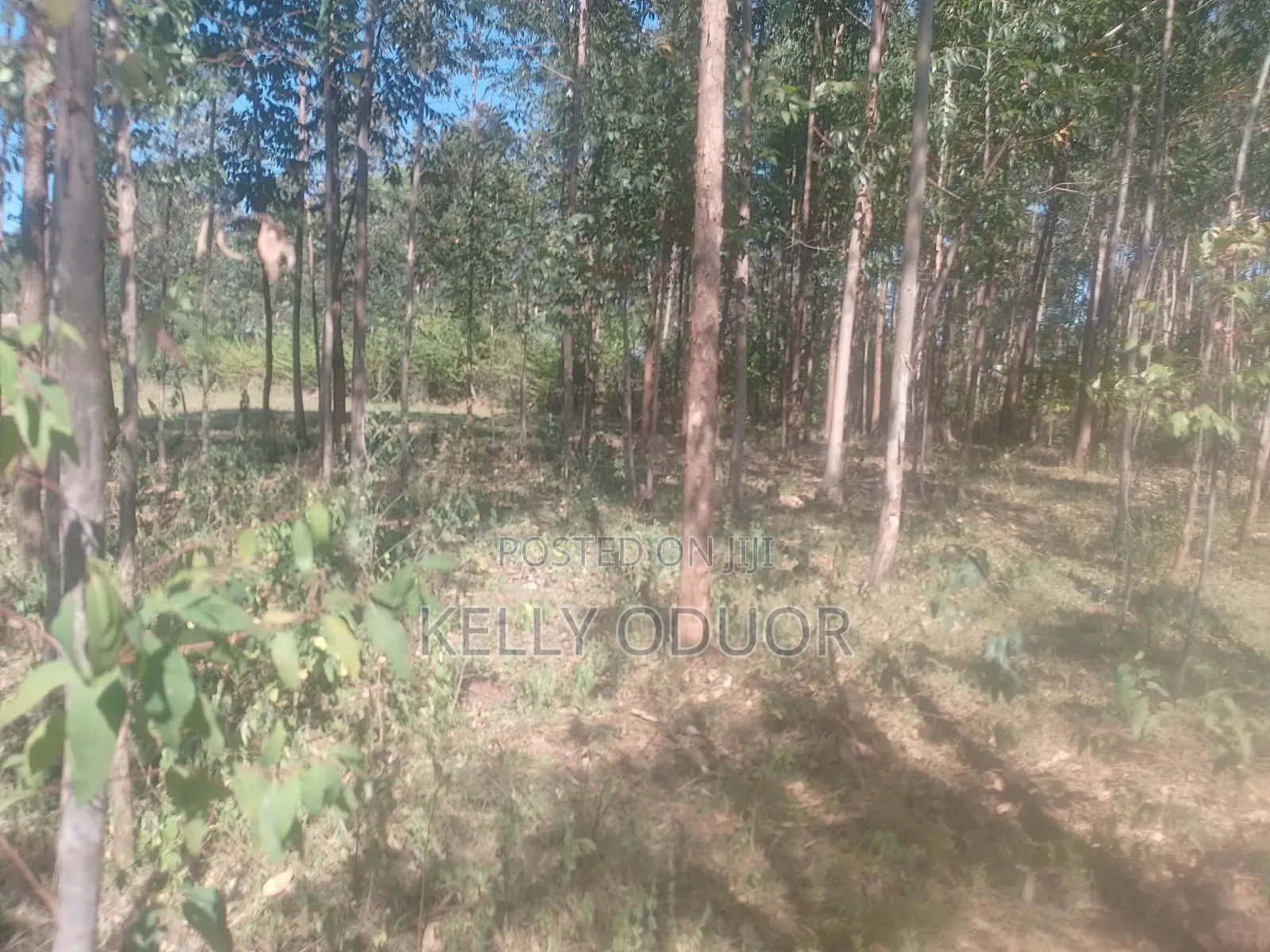1/2 Acre Land for Sale Nyakach