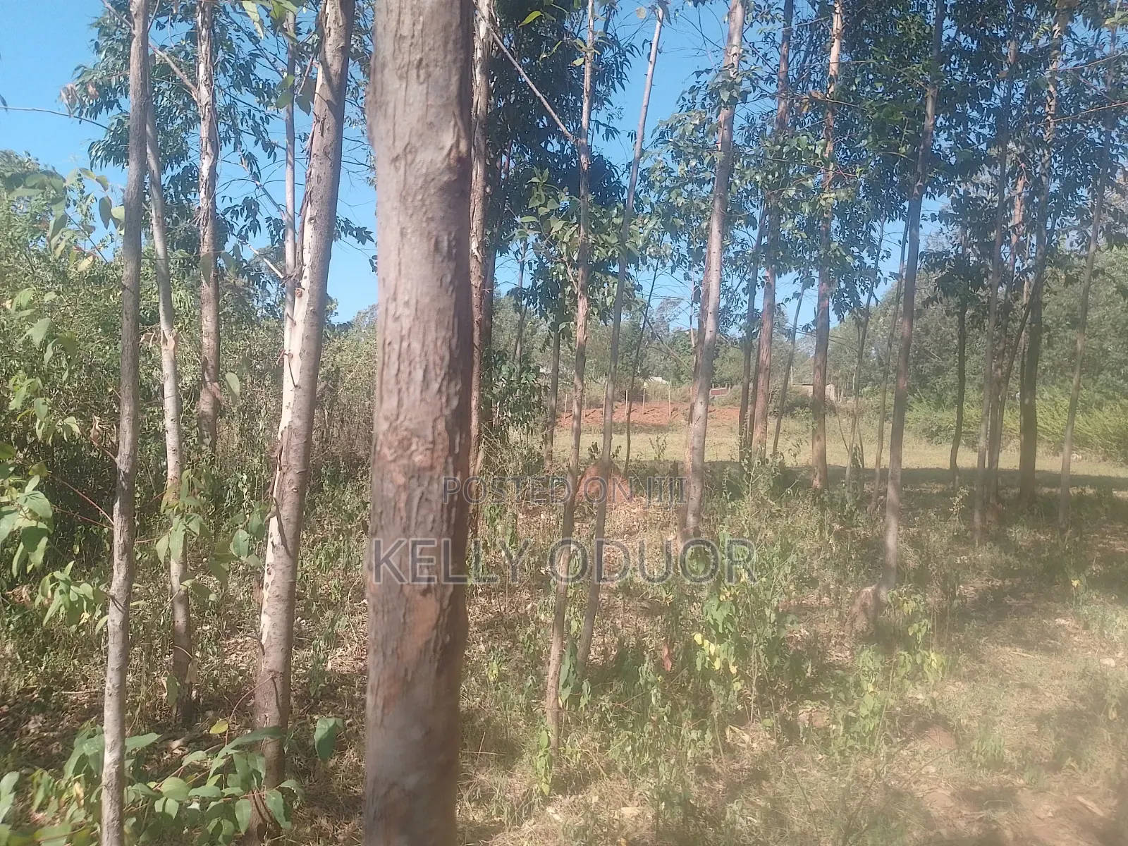 1/2 Acre Land for Sale Nyakach