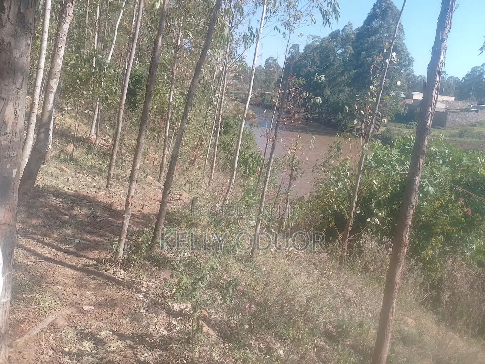 1/2 Acre Land for Sale Nyakach