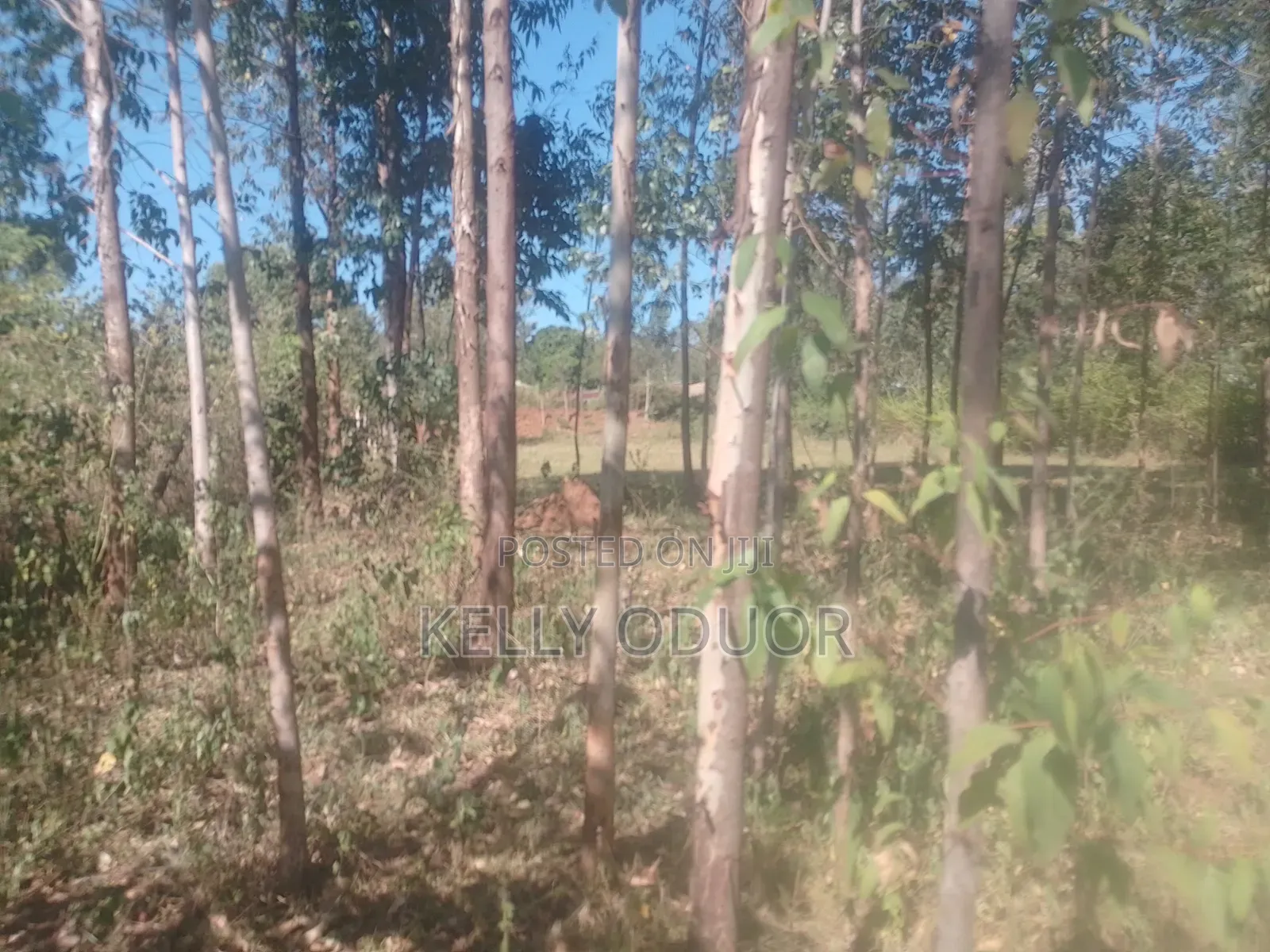 1/2 Acre Land for Sale Nyakach