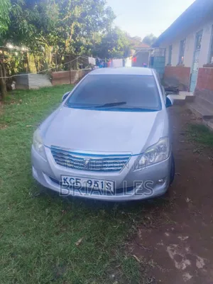Toyota Premio 2009 Silver