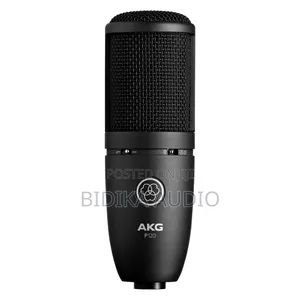 AKG P120 — Large‐Diaphragm Condenser Microphone