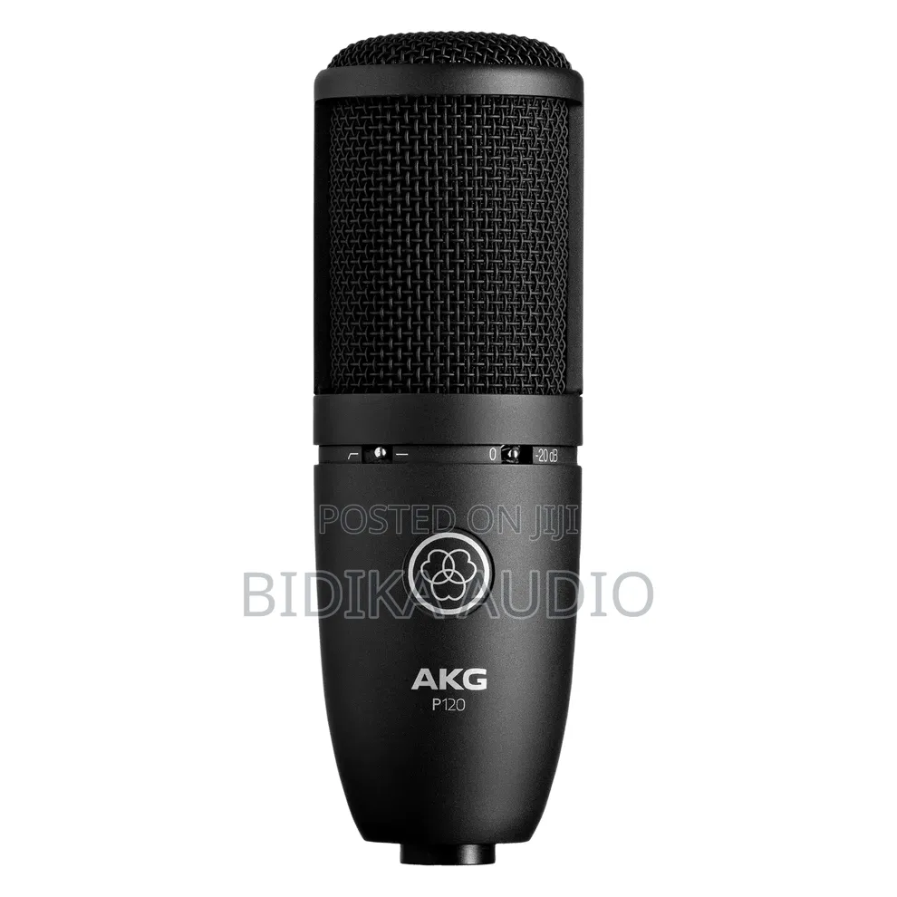 AKG P120 — Large‐Diaphragm Condenser Microphone
