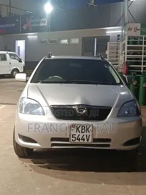 Toyota Allex 2003 Silver
