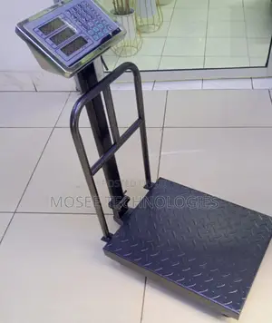 Protective Support Rail: