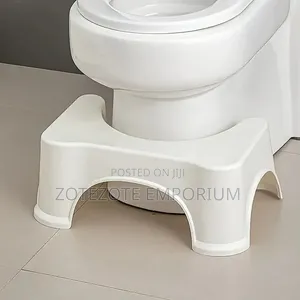 Toilet Squat Step