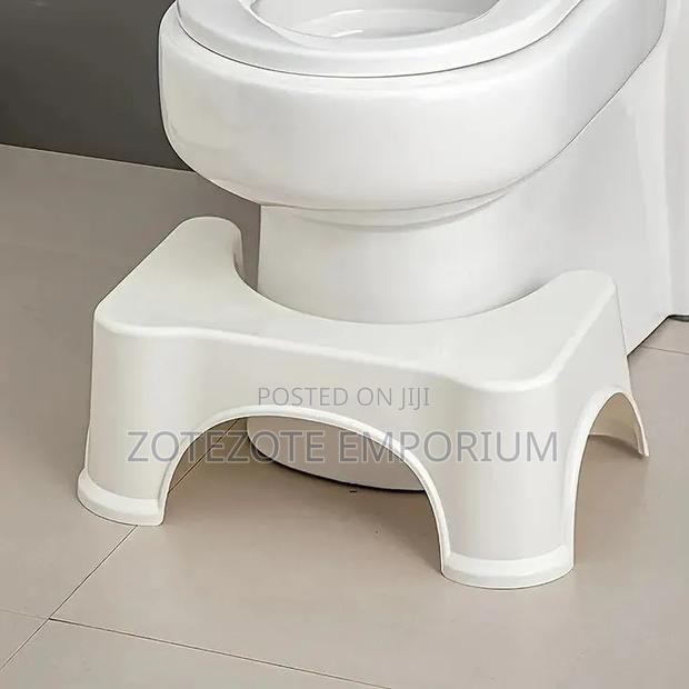 Toilet Squat Step - main view