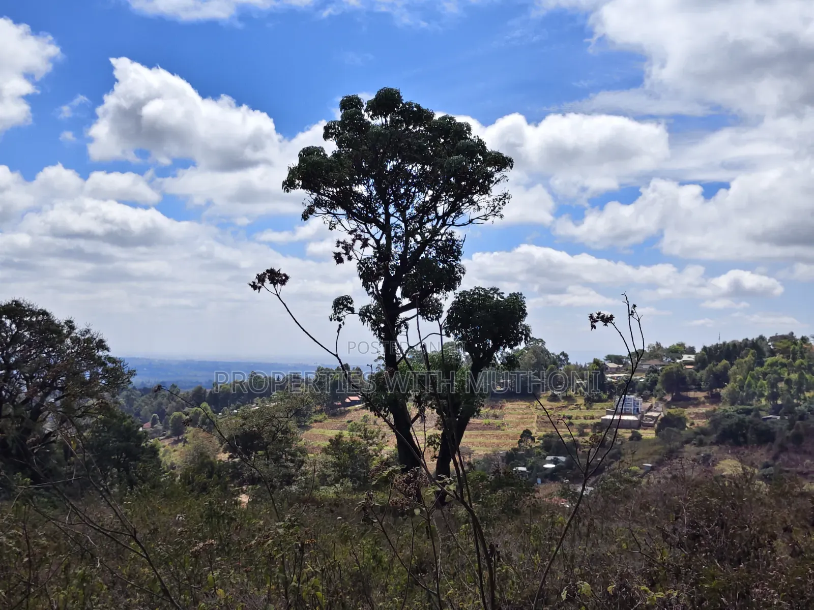 1 Acre for Sale in Lemiso Road, Ngong.