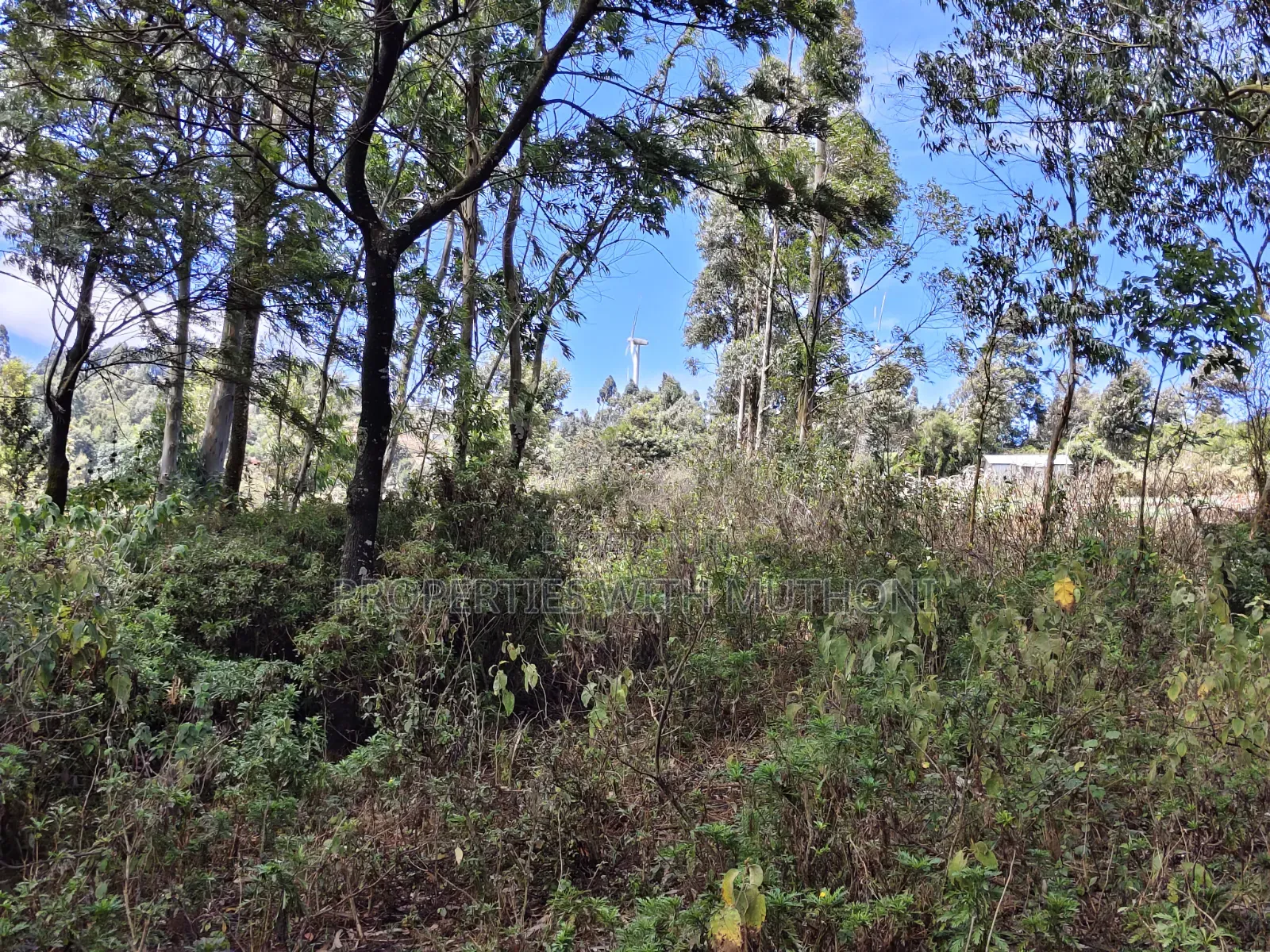 1 Acre for Sale in Lemiso Road, Ngong.