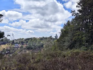 1 Acre for Sale in Lemiso Road, Ngong.