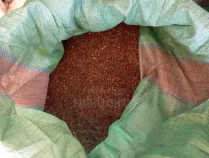 Hibiscus Seeds