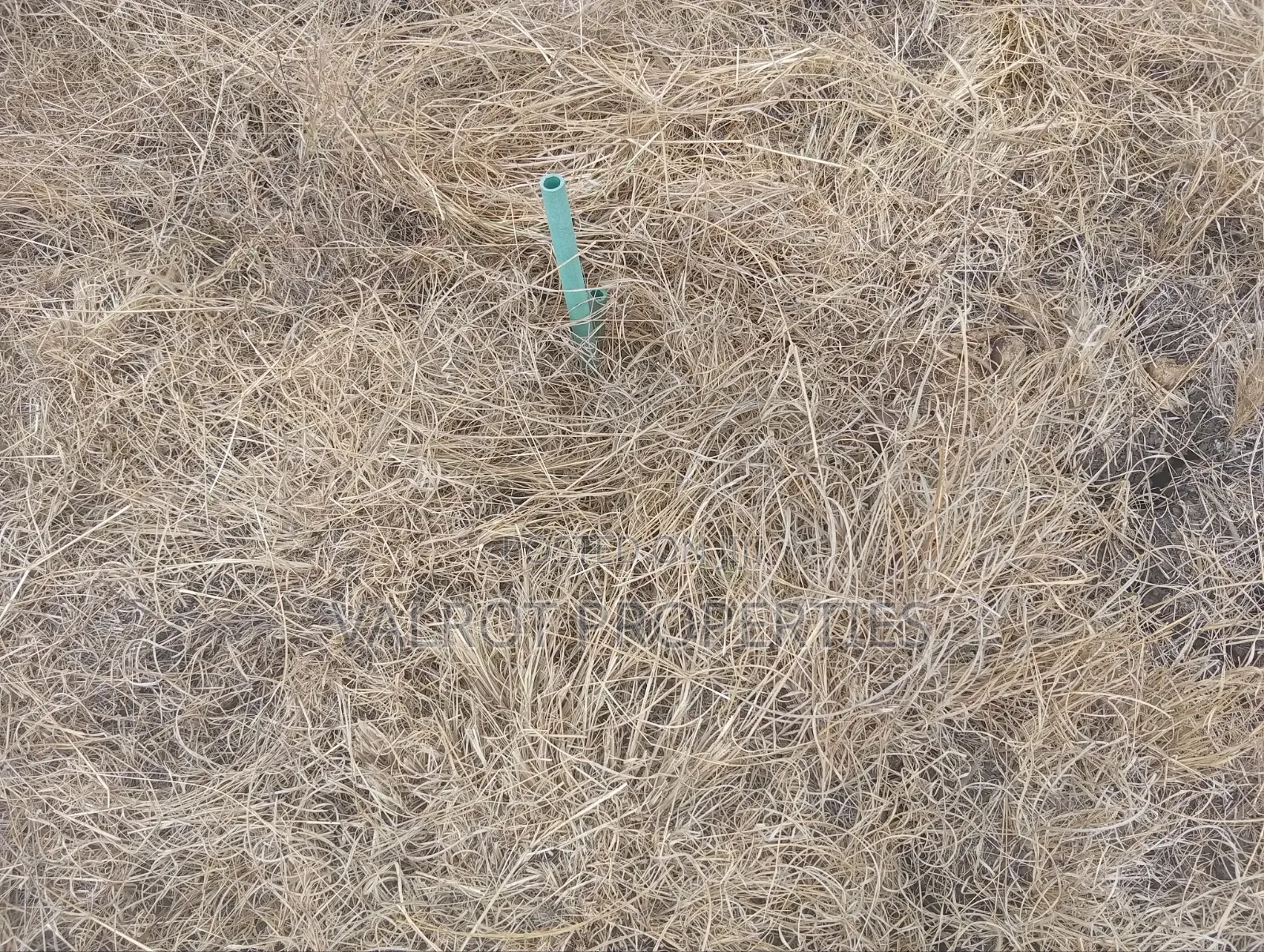1/4 Acre Land for Sale in Tuala.