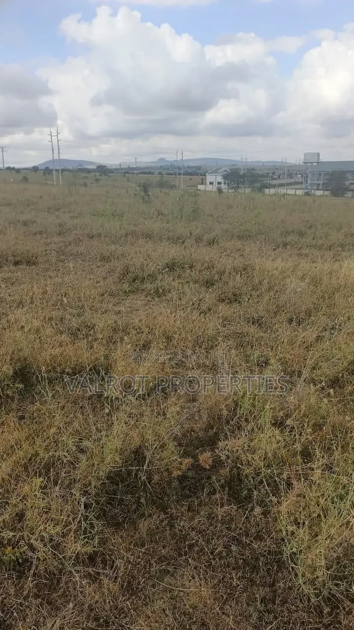 1/4 Acre Land for Sale in Tuala.