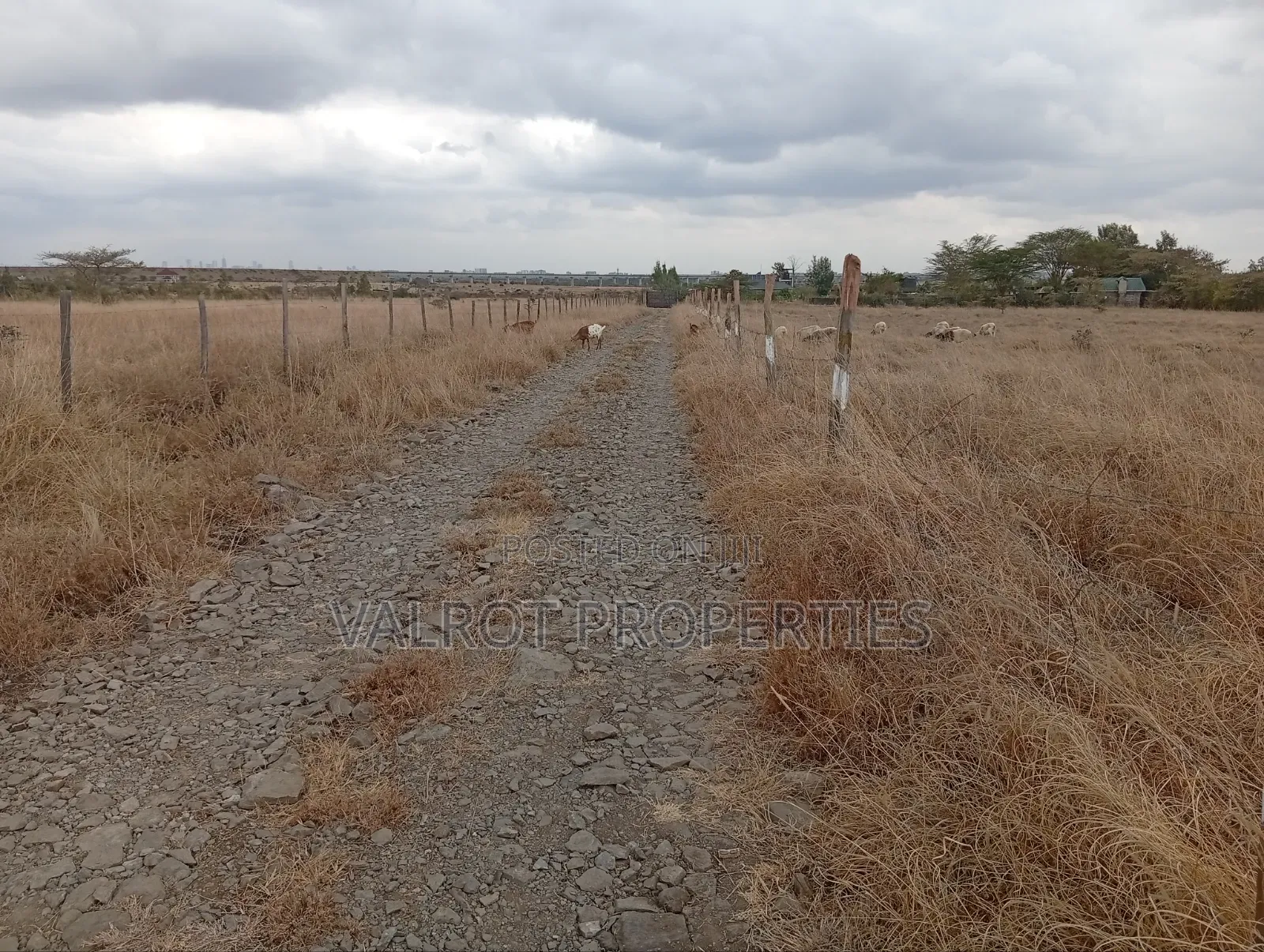 1/4 Acre Land for Sale in Tuala.