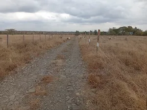 1/4 Acre Land for Sale in Tuala.