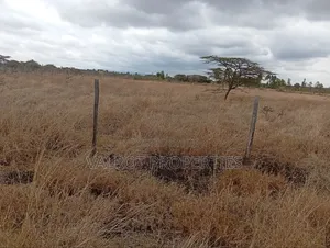 1/4 Acre Land for Sale in Tuala.