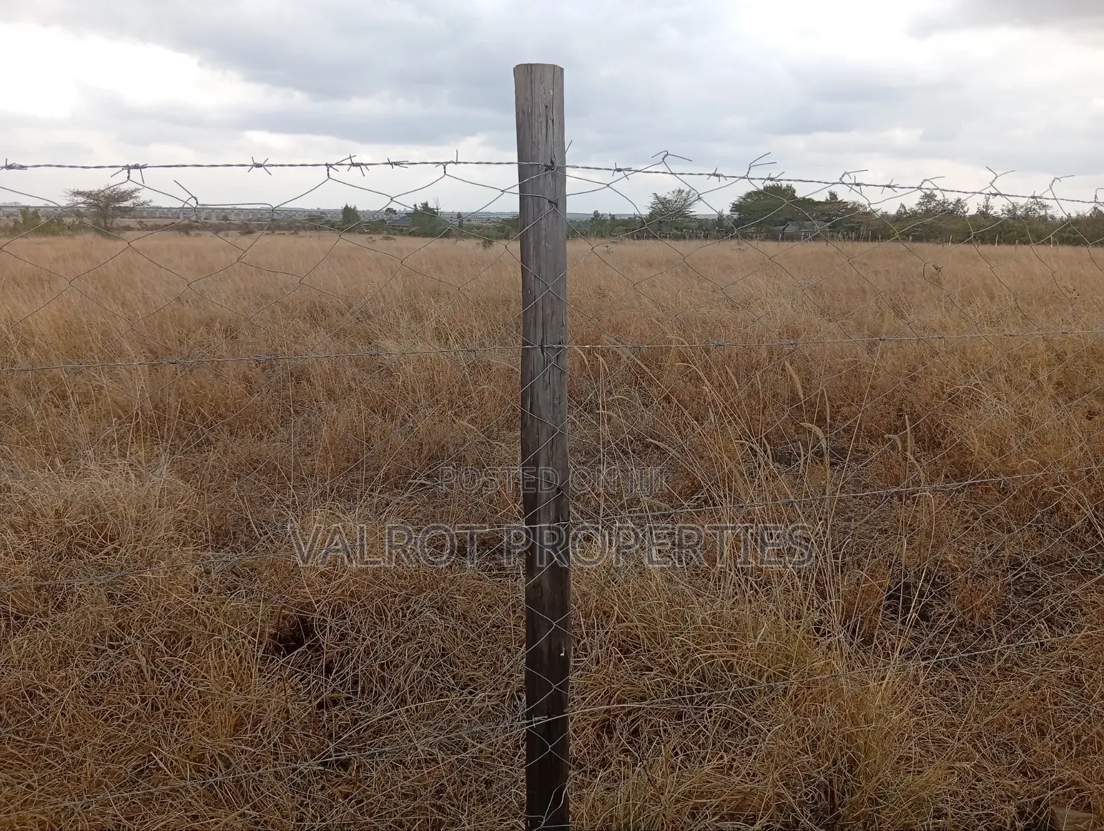 1/4 Acre Land for Sale in Tuala.