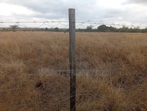 1/4 Acre Land for Sale in Tuala.
