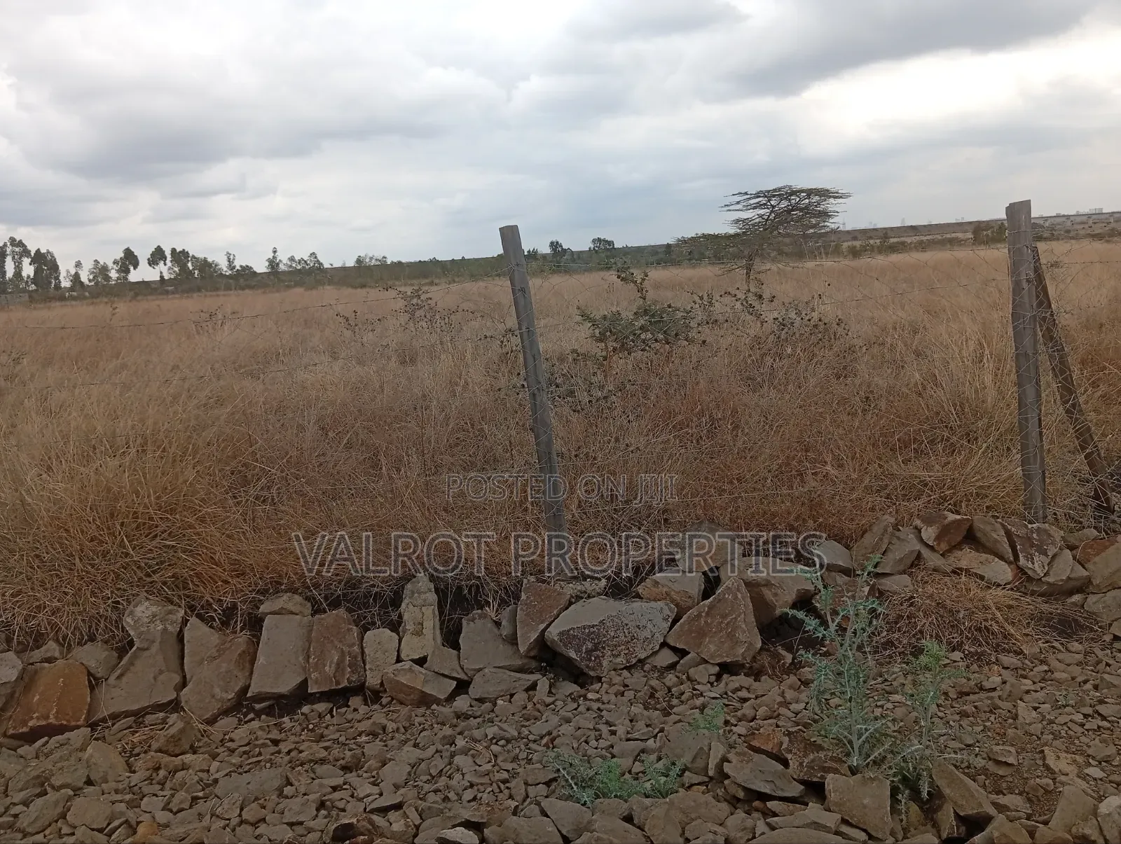 1/4 Acre Land for Sale in Tuala.
