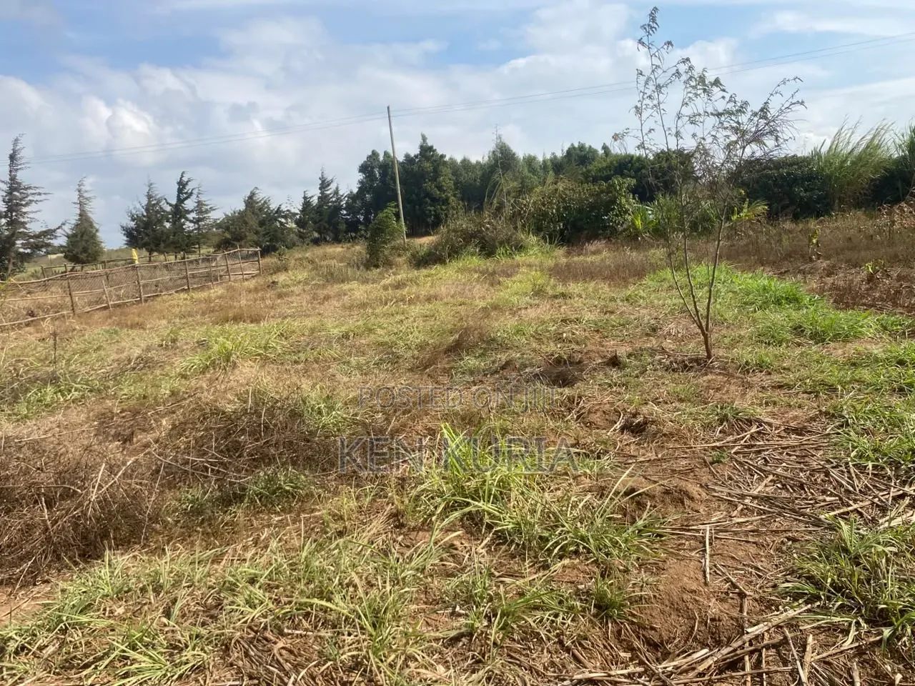 Land for Sale