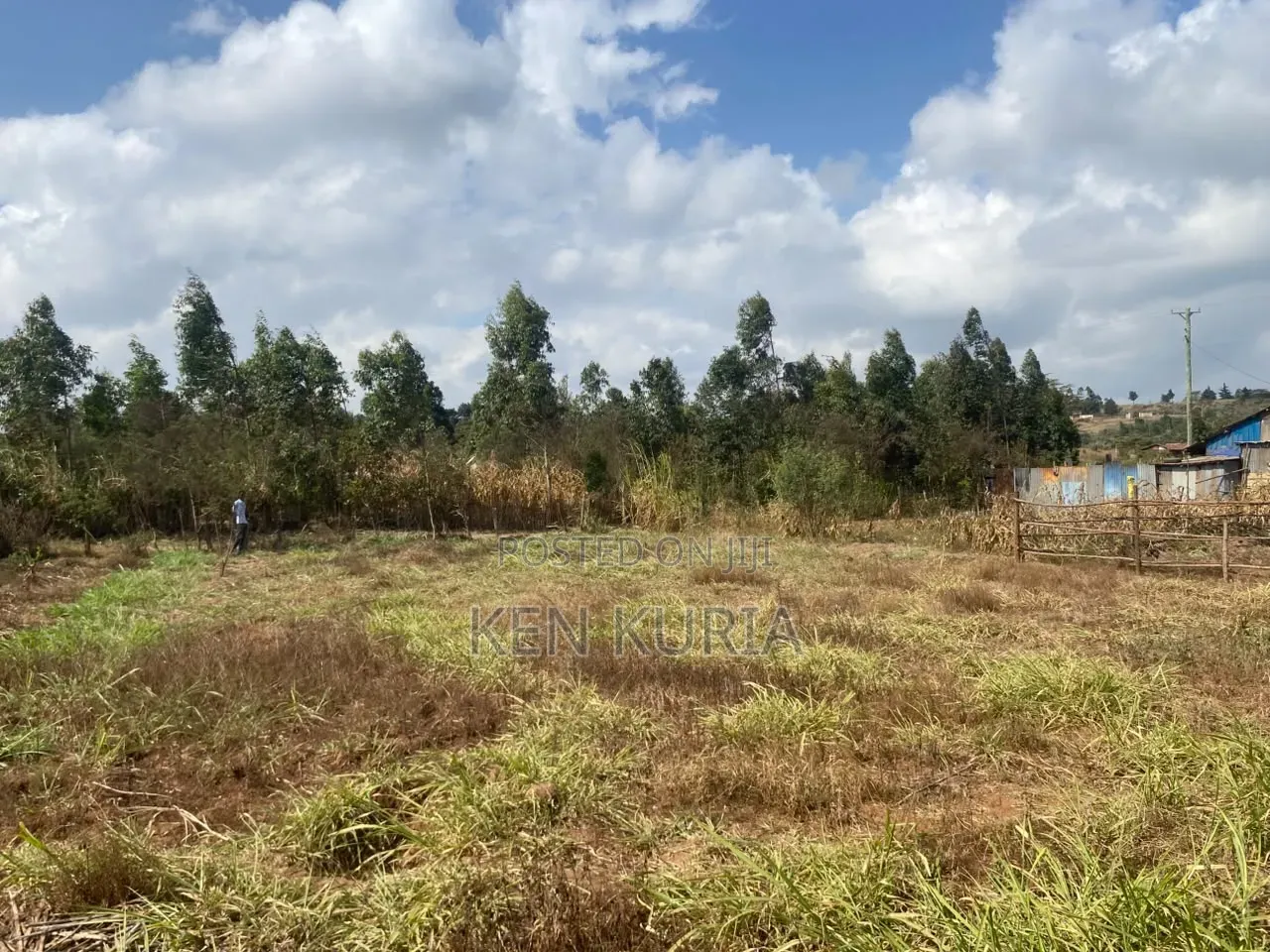 Land for Sale