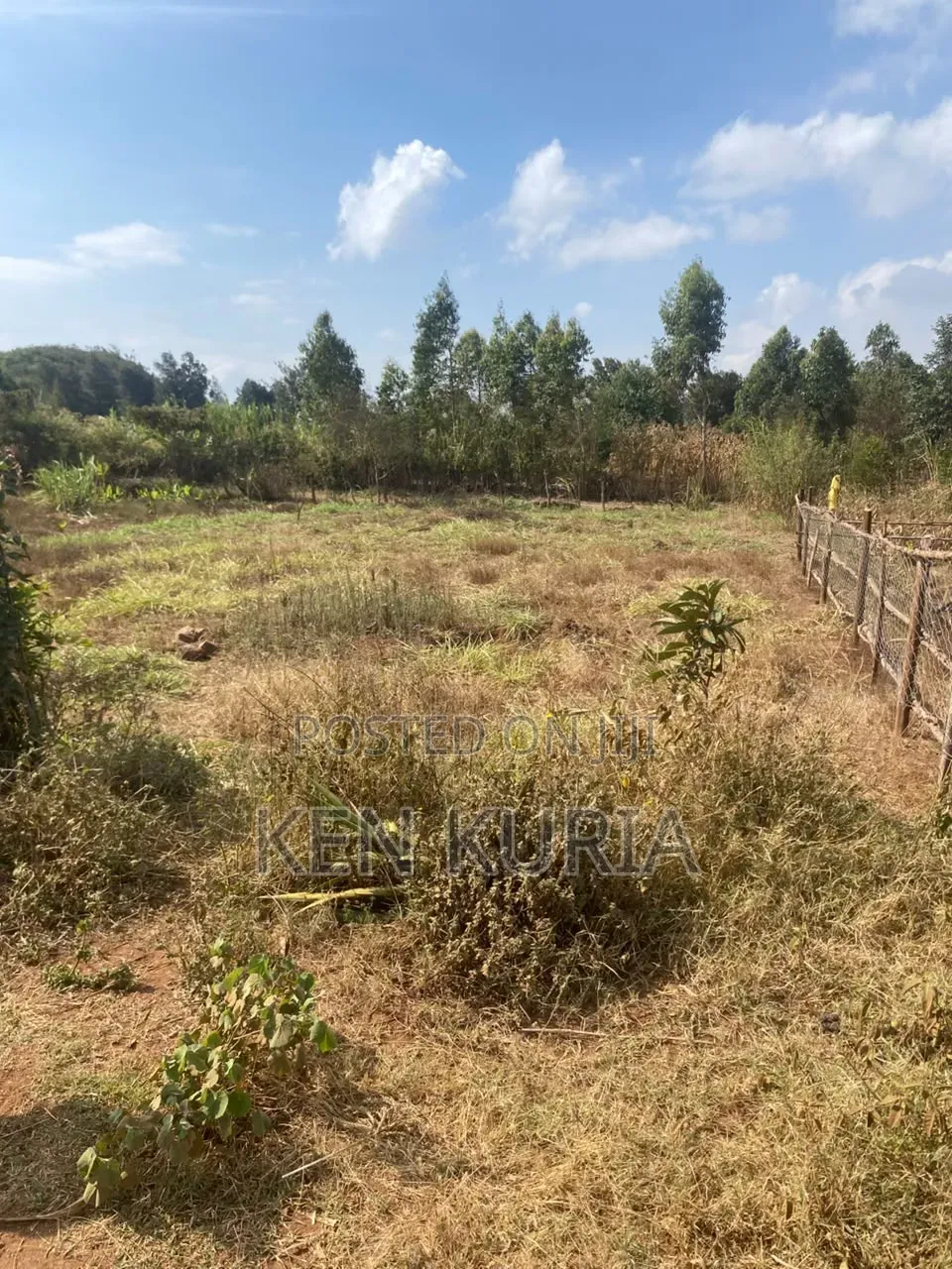 Land for Sale
