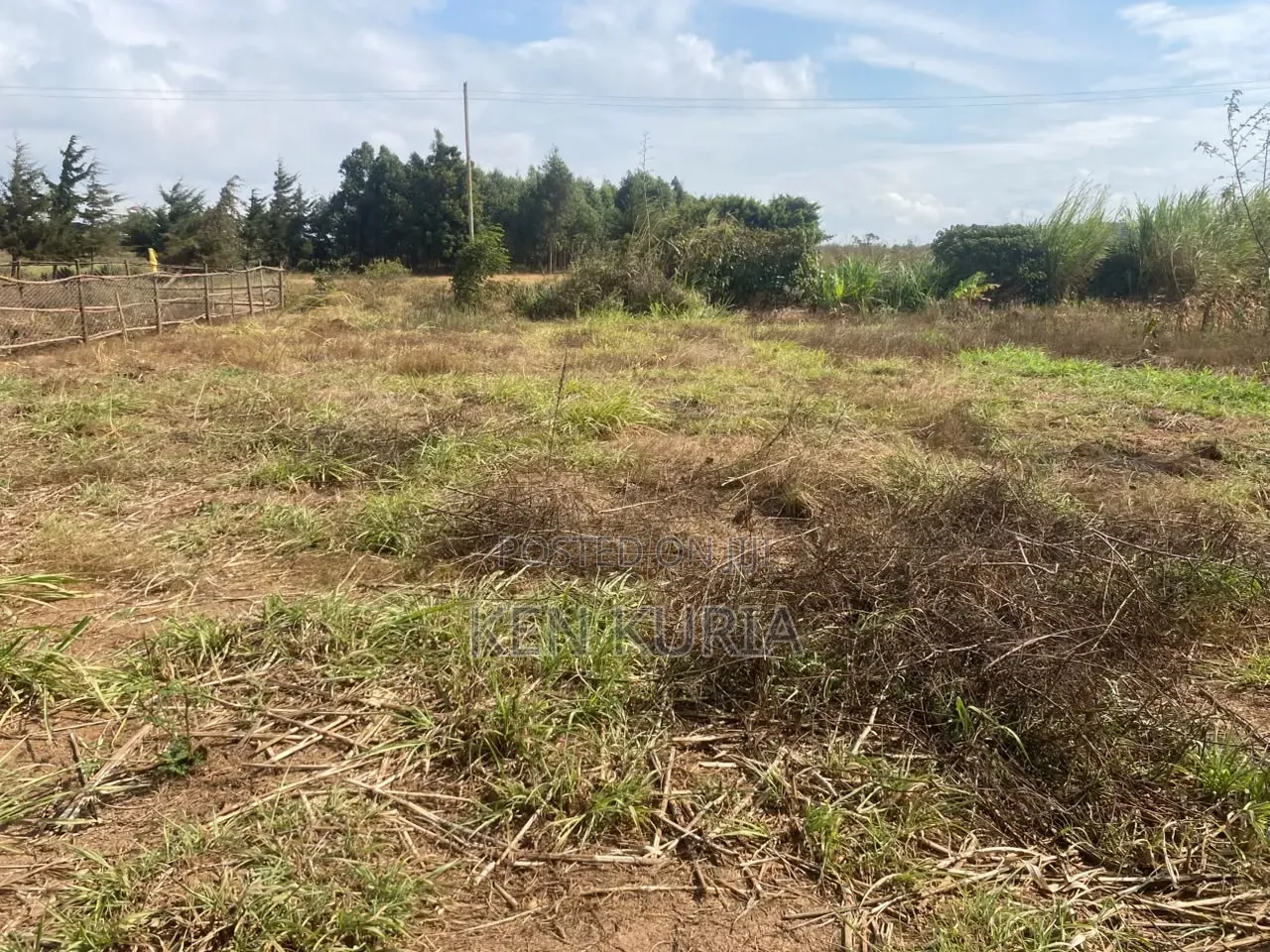 Land for Sale