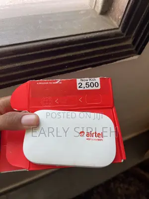 Pocket Wi Fi