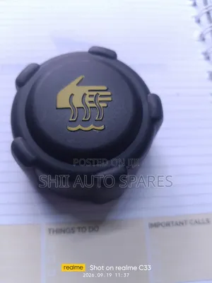 Coolant Reservoir Tank Cap for Dualis