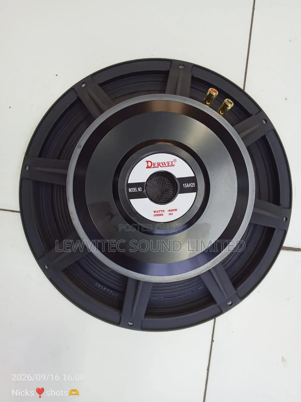 Derwel Mid Range Speaker