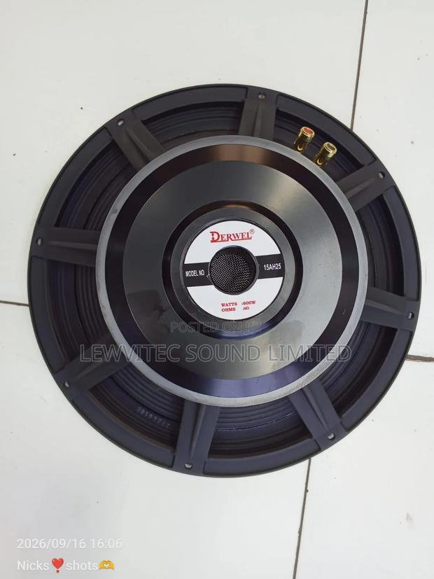 Derwel Mid Range Speaker - main view