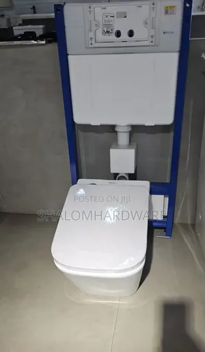 Concealed Toilet