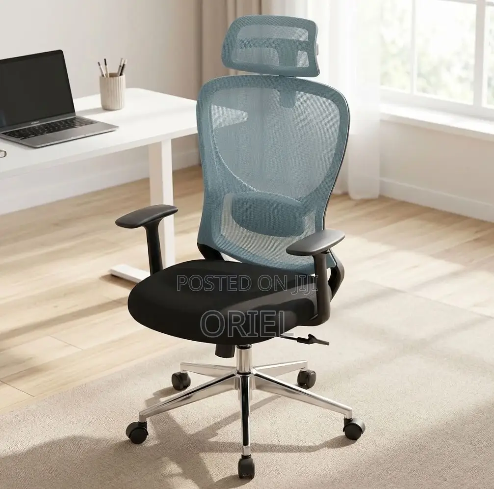 Office Chair : Blue Back Ergonomic Office Staff Chair