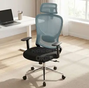 Office Chair : Blue Back Ergonomic Office Staff Chair
