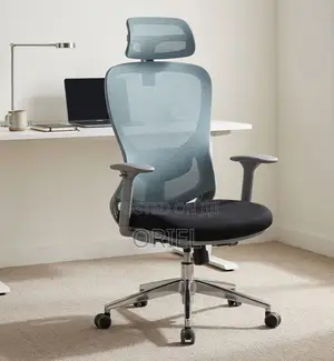 Office Chair : Blue Back Ergonomic Office Staff Chair