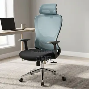 Office Chair : Blue Back Ergonomic Office Staff Chair
