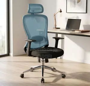 Office Chair : Blue Back Ergonomic Office Staff Chair