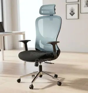 Office Chair : Blue Back Ergonomic Office Staff Chair