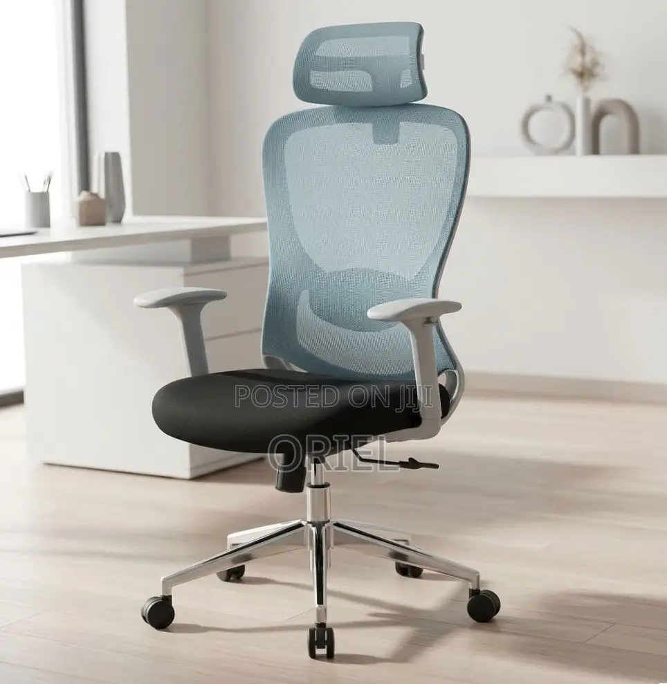 Office Chair : Blue Back Ergonomic Office Staff Chair