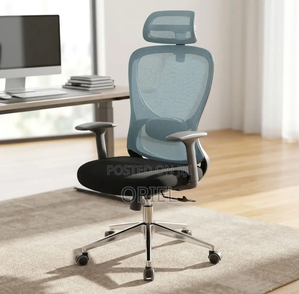 Office Chair : Blue Back Ergonomic Office Staff Chair