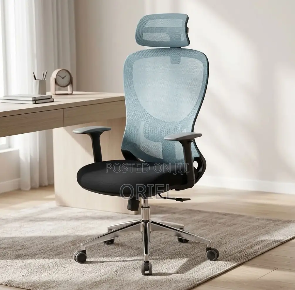 Office Chair : Blue Back Ergonomic Office Staff Chair