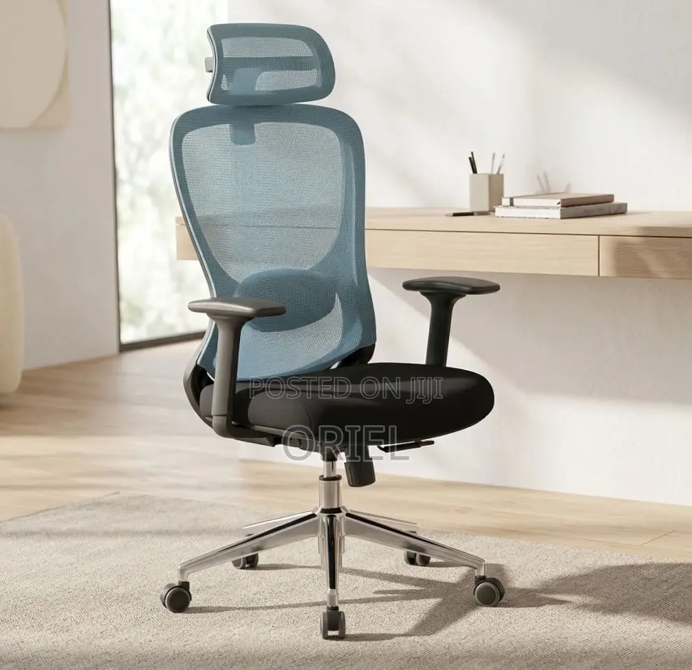 Office Chair : Blue Back Ergonomic Office Staff Chair