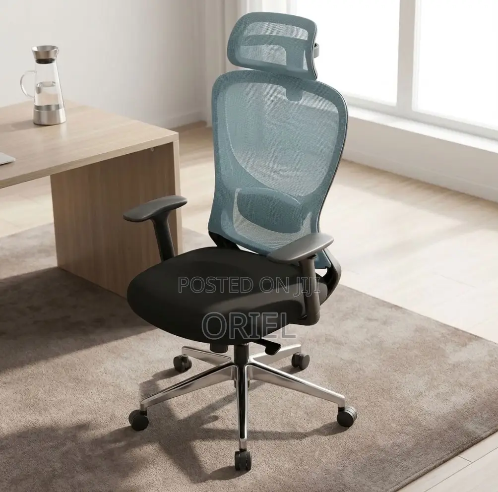 Office Chair : Blue Back Ergonomic Office Staff Chair