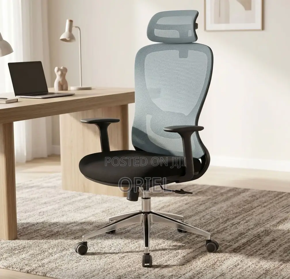 Office Chair : Blue Back Ergonomic Office Staff Chair