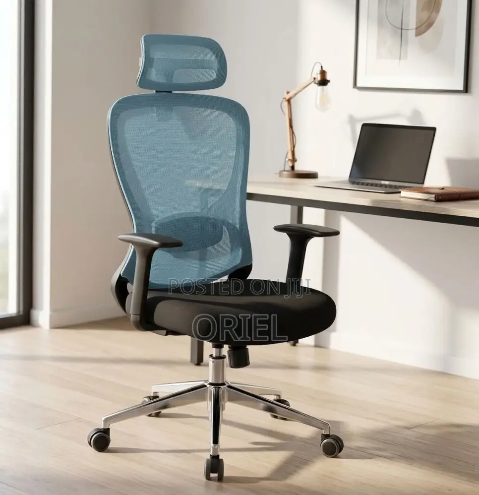 Office Chair : Blue Back Ergonomic Office Staff Chair