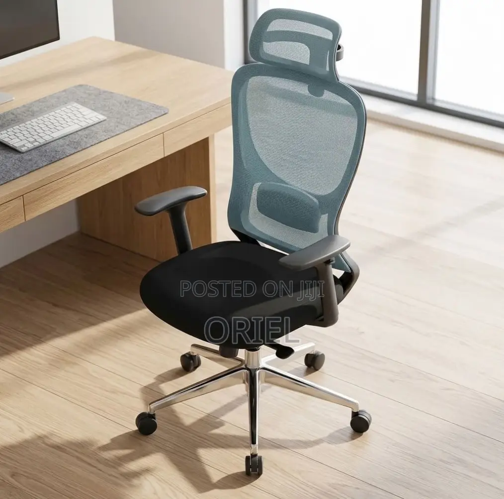 Office Chair : Blue Back Ergonomic Office Staff Chair