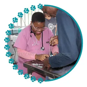 Vet Near Me Nairobi | Mobile on-Call Veterinary Services